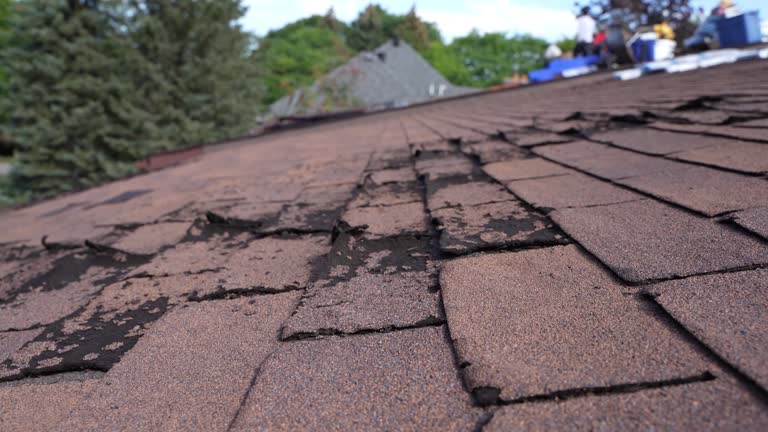 Best Skylight Installation and Repair  in Waynesburg, PA